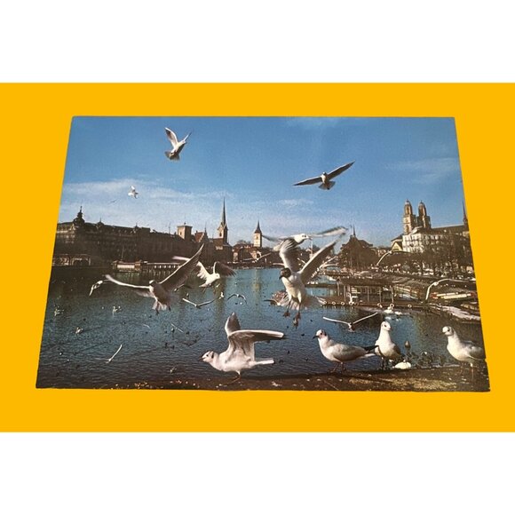 Vintage Zurich Postcard: Seagulls Over Limmat River - Picture 2 of 5
